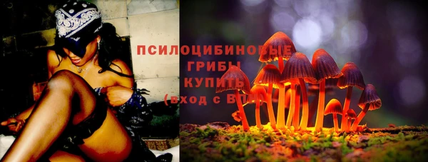 MDMA Premium VHQ Заводоуковск
